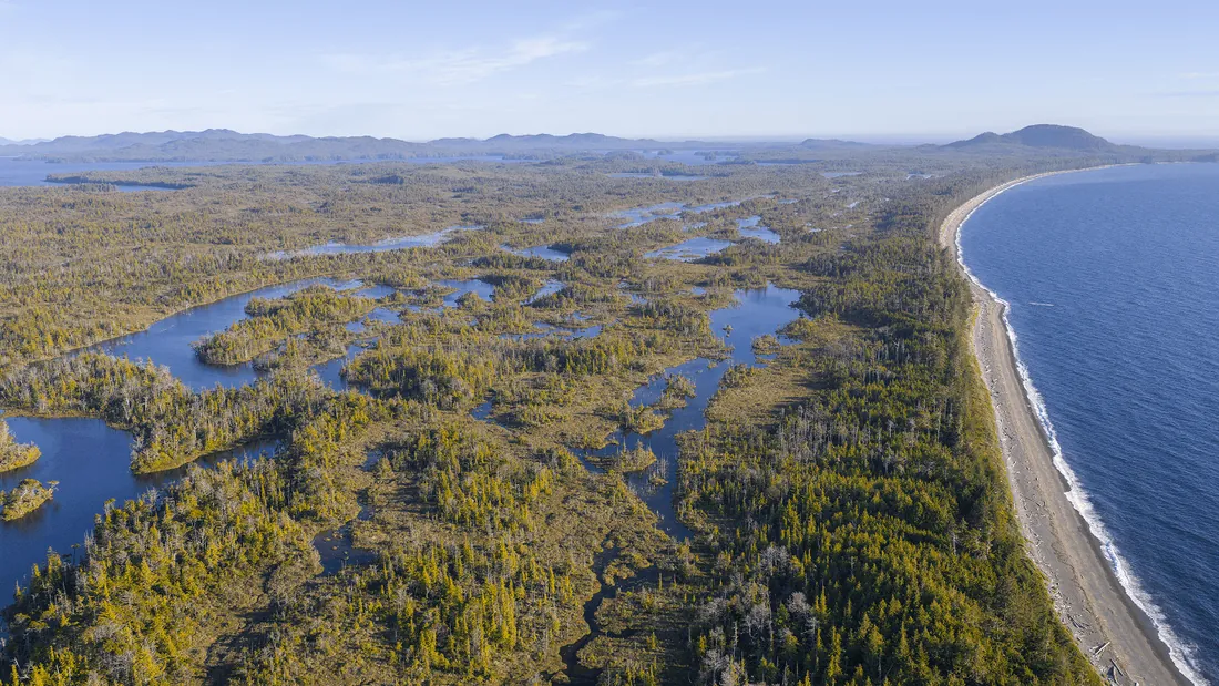 Luftaufnahme der geschützten Küstenregenwald- und Moorlandschaft auf Porcher Island, British Columbia